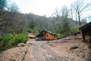 a small cabin on a dirt road in the woods at Nevisca 5p in Curacautín