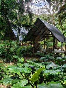 a garden with a pavilion and a lot of plants at pannaburee resort in Ban Khanong Phra Klang (1)
