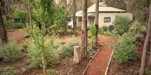 a small house in the middle of a forest at Banana Pancakes in Margaret River Town