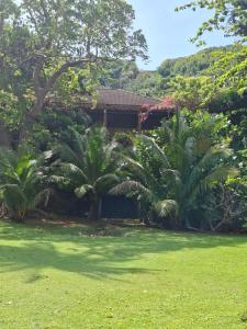 a house with palm trees in front of a yard at Dapitan Beach Villa in Dapitan