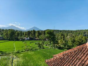 a view of a farm with mountains in the background at Yoga Homestay in Munduk