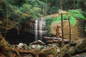 a man standing on logs in front of a waterfall at Amore On Buderim Rainforest Cabins in Buderim