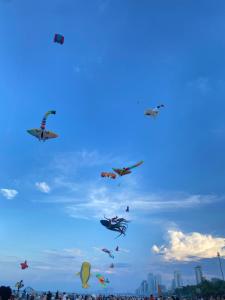 a bunch of kites flying in the sky at Jasmine Homestay in Danang