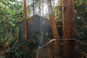a tree house in the middle of the forest at Amore On Buderim Rainforest Cabins in Buderim