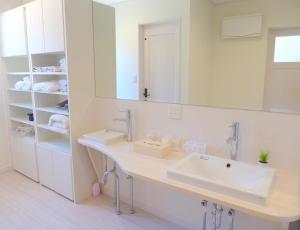 a bathroom with a sink and a mirror at A-PLAZA Yamanakako in Yamanakako +62 photos