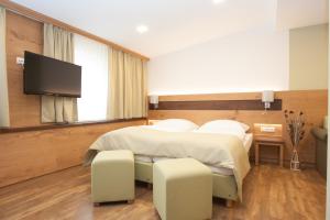 TV a/nebo společenská místnost v ubytování Hotel zur Post