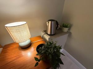a table with a lamp and a potted plant on it at Heartbeat Cottage By Travel Lets Holiday Homes Letterkenny With Private Ensuite Rooms & Garden in Letterkenny +22 photos