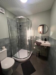 a bathroom with a shower and a toilet and a sink at Viduma apartamenti in Ventspils