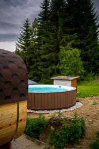 a swimming pool with a hot tub in a yard at Chata Polka in Horní Vltavice +35 photos