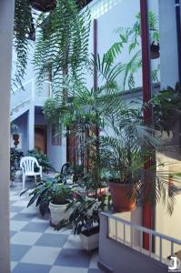 a courtyard with potted plants in a building at Missouri Hotel in São Paulo
