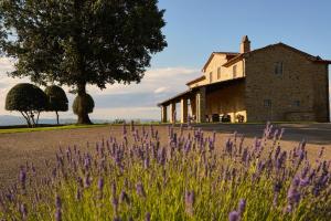 A garden outside Villa Agazzi by PosarelliVillas