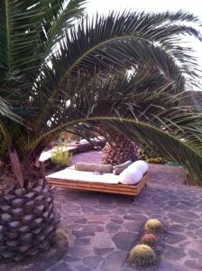 pokój z 2 łóżkami i palmą w obiekcie Dammuso Oriente w mieście Pantelleria