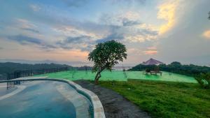 a swimming pool with a tree next to a field at Yoga bale house3 in Padangbai +42 photos