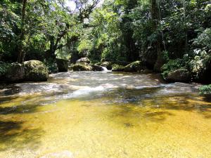 帕拉蒂的住宿－Sitio Namaste Paraty，一条河中树木丛生的小溪