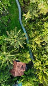 an overhead view of a road in a forest with palm trees at Bamboo Planet Resort in Vythiri +19 photos
