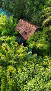 an overhead view of an umbrella in the midst of trees at Bamboo Planet Resort in Vythiri