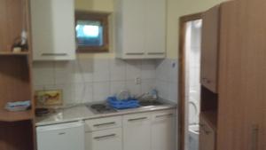 Η κουζίνα ή μικρή κουζίνα στο Apartments Vanja +27 φωτογραφίες