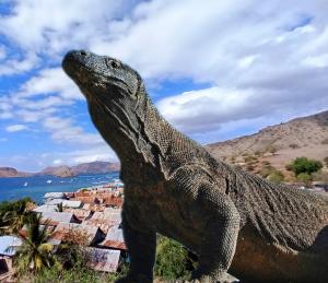a statue of a lizard standing on top of a building at Homestay SeAngel in Labuan Bajo