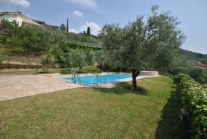 a swimming pool with a tree in a yard at Villa Elysium in Torri del Benaco