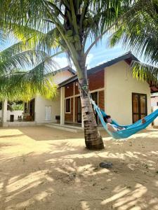 a person laying in a hammock under a palm tree at Ma'Moon Beach Villa in Wadduwa