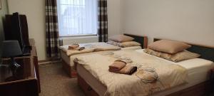 two twin beds in a room with a television at Statek Kloubek in Chabičovice