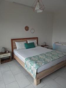 a bedroom with a bed with a green and white comforter at Mira lune guesthouse in Flic-en-Flac