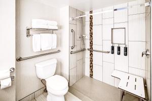 a bathroom with a toilet and a shower at DoubleTree by Hilton Madison Downtown in Madison +24 photos