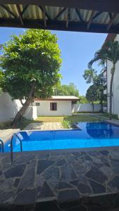 a view of a swimming pool with a tree at The Reef Edge in Matara