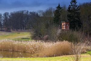 a view of a house in the middle of a field at TINY HOUSE FLEESENSEE mit eigenem Garten und nur wenige Meter vom Seeufer in Unter Göhren +12 photos