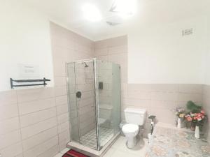a bathroom with a shower and a toilet at Rembrandt - Zur See in Ballito
