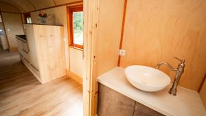 a bathroom with a white sink on a counter at Schloss Sigrön Zirkuswagen in Bad Wilsnack +19 photos