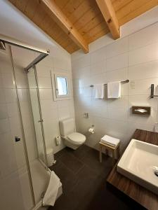 a bathroom with a toilet and a shower and a sink at Chalet Gafri -Boutique B&B - comfort and hospitality - near Interlaken in Wilderswil +63 photos