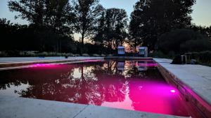 a pool with pink lighting in a yard at Schloss Sigrön Zirkuswagen in Bad Wilsnack
