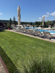 a pool with chairs and umbrellas next to a grass field at Németh Resort in Sovata