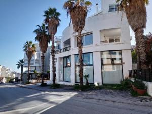 a white building with palm trees in front of it at Rafina Studio apartments kondilia in Rafina