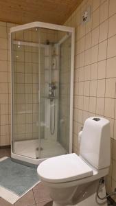 a bathroom with a toilet and a glass shower at Solodden, Authentic rorbu in Lofoten in Sennesvik +25 photos