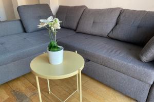 a blue couch with a table with a vase with flowers on it at NEW! Amazing 2 bedroom apartment in Rambla del Poblenou in Barcelona +29 photos
