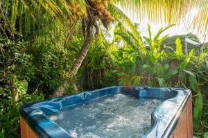 a hot tub in a garden with a palm tree at Bungalow Kaz Graj in Sainte-Anne