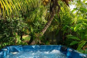 a hot tub in a garden with a palm tree at Bungalow Kaz Graj in Sainte-Anne