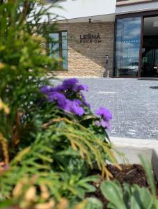 a bunch of purple flowers in front of a building at Lešná Penzion in Zlín +4 photos