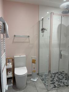 a bathroom with a toilet and a shower at La Belle Prise in Matougues +27 photos