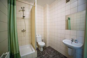 La salle de bains est pourvue de toilettes, d'un lavabo et d'une douche. dans l'établissement Ondraszka, à Katowice