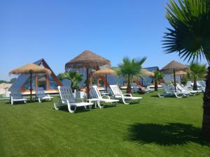 a group of chairs and umbrellas on a lawn at Lena Village - Hotel and Spa in Mortágua