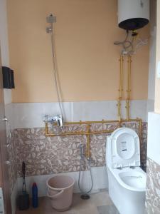 a bathroom with a toilet and a shower at Cosmic Buddha Bnb in Gangtok