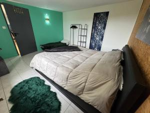 a bedroom with a large bed with a green wall at Panorama in Seigy