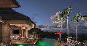 a house with a swimming pool and palm trees at Smart Elegant Villa with Amazing Tropical Views in Toiny