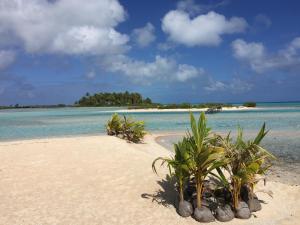 Φυσικό τοπίο κοντά σε αυτό το δωμάτιο σε οικογενειακή κατοικία