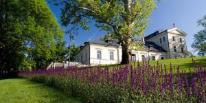 Vonkajšia záhrada v ubytovaní Chateau Mcely