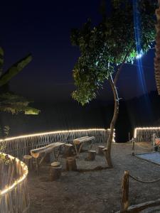 a park with benches and a tree at night at Tapas Stays in Pokhara