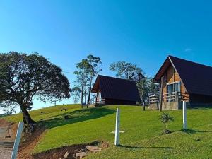 a house on top of a hill with a tree at Chalés Refúgio nas montanhas in Guaratuba